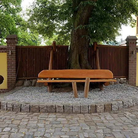 Πανσιόν L&l Skaters