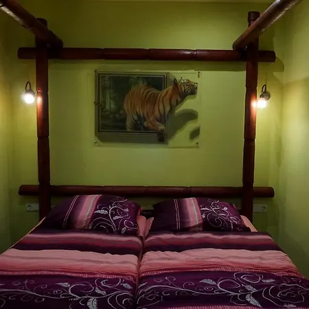 Πανσιόν L&l Skaters